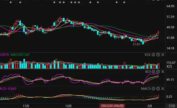  新宝配资官网揭秘“配资机构网”：投资理财的新选择